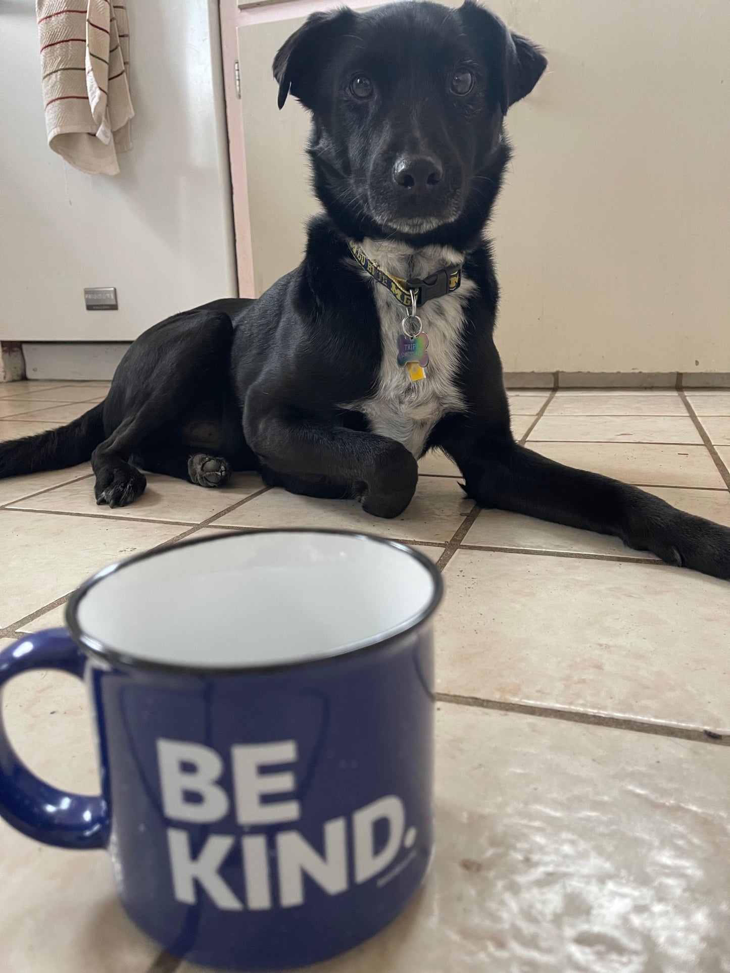Coffee Mug ($12 donation)